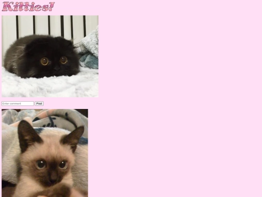cats screenshot