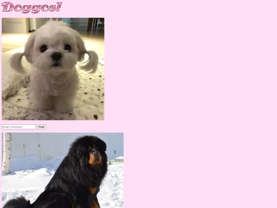 dogs screenshot