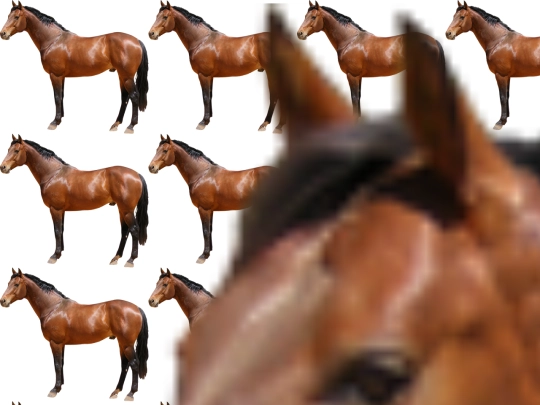 horse screenshot