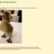 Home - The Bird Drawer avatar