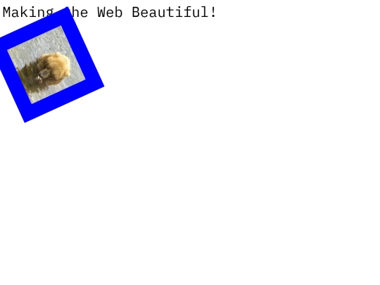 xxxx screenshot