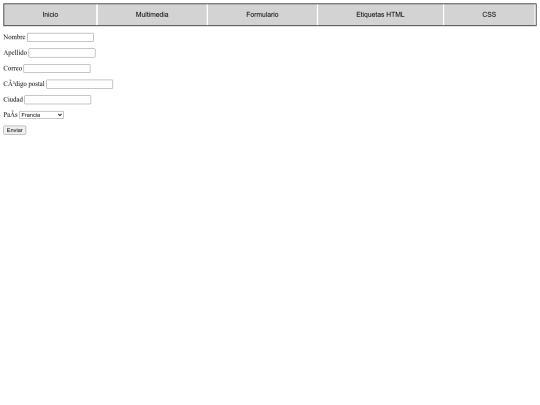 PAGINA/Formulario screenshot