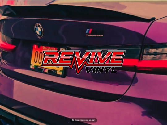 revive/mp4 screenshot