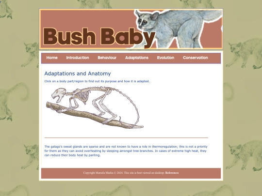 adapt screenshot
