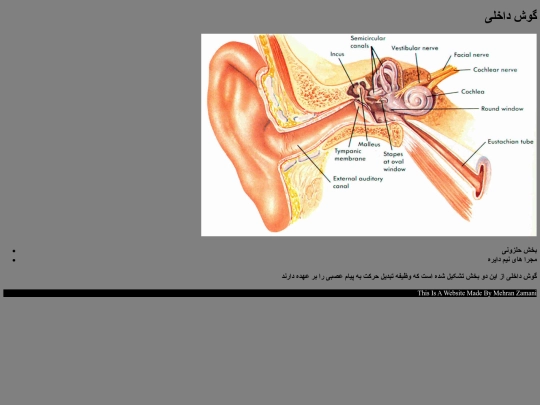 goosh3 screenshot