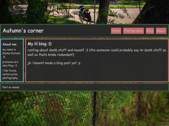 blog screenshot