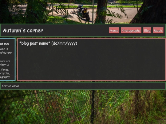 blog/template screenshot