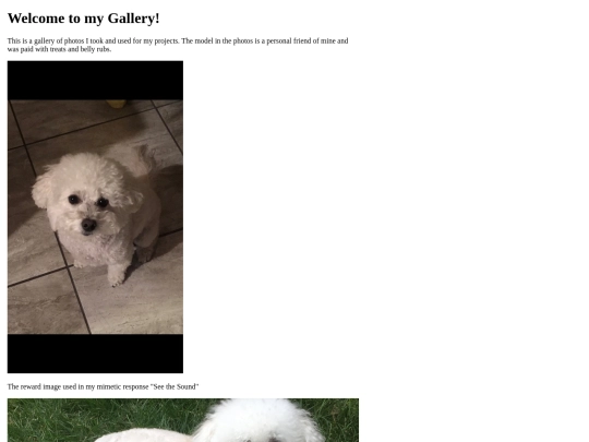 Gallery screenshot