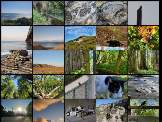 photos screenshot