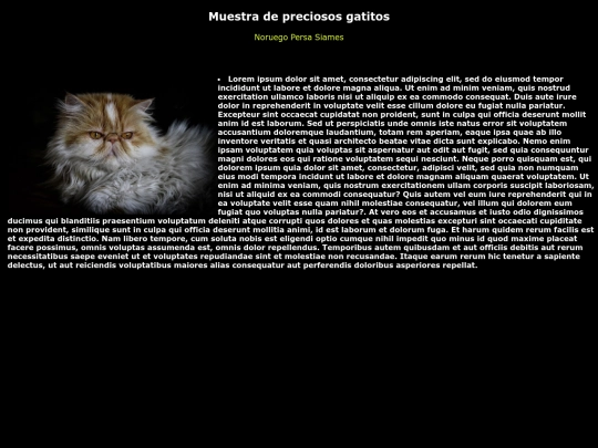 persa screenshot