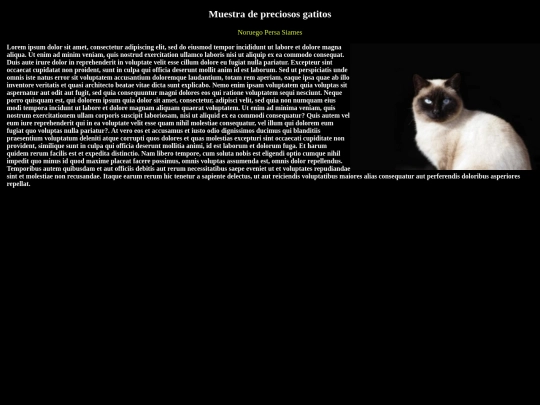 siames screenshot