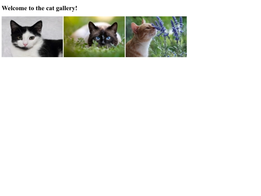 catalog1 screenshot
