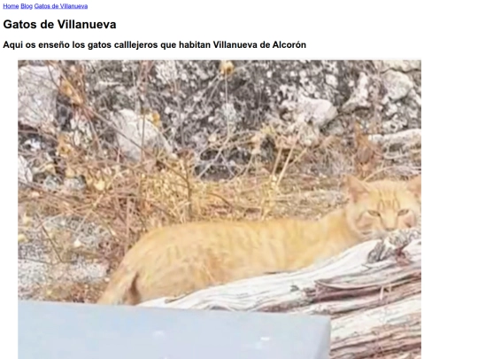GatosdeVillanueva screenshot