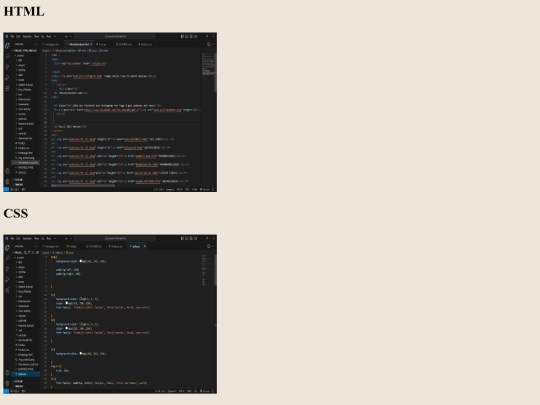 project1 screenshot