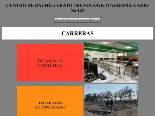 CARRERAS screenshot