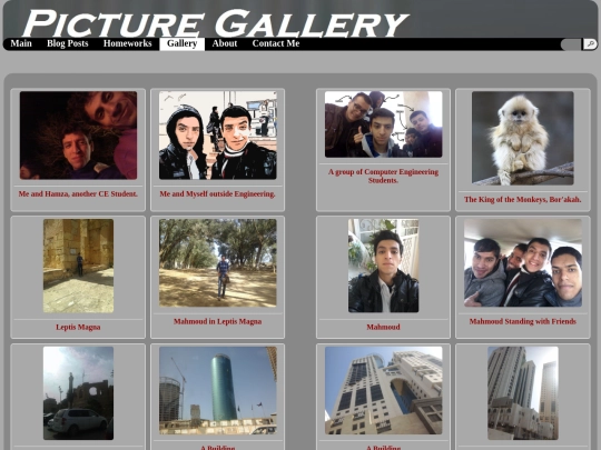 Galleries/Pictures screenshot