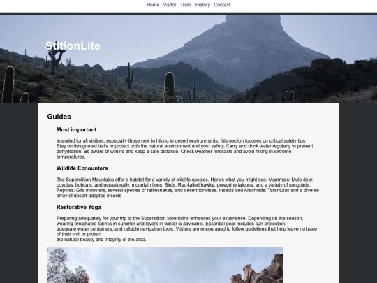 visitor screenshot