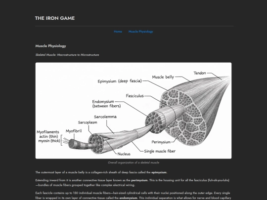 muscle-physiology screenshot