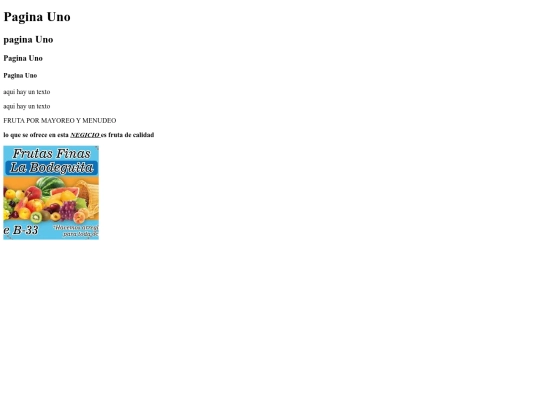paginas/pagina2 screenshot