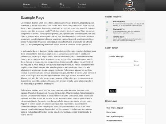 prueba/page screenshot
