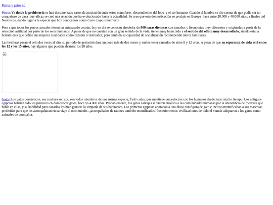 perros y gatos xd screenshot