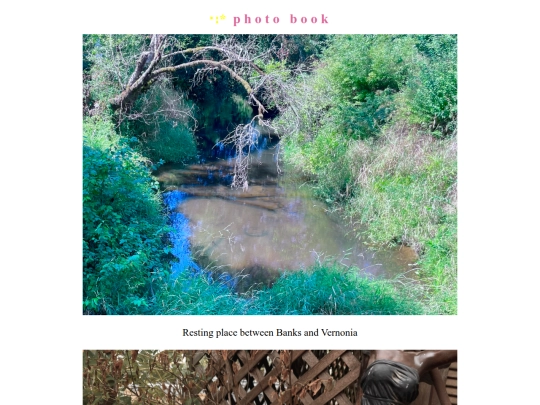 photobook screenshot