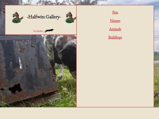 gallery screenshot