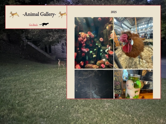 gallery/animals screenshot