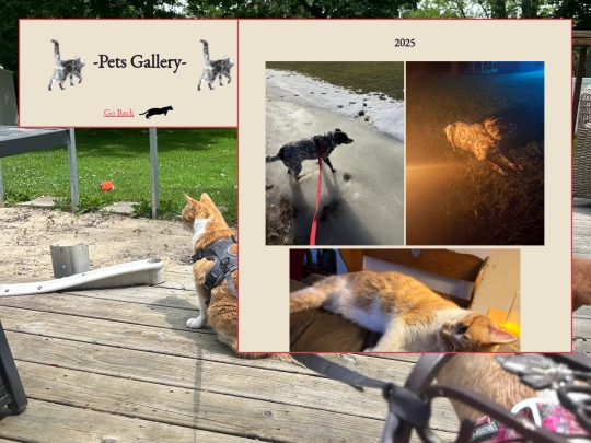 gallery/pets screenshot