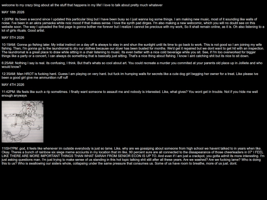 blog screenshot