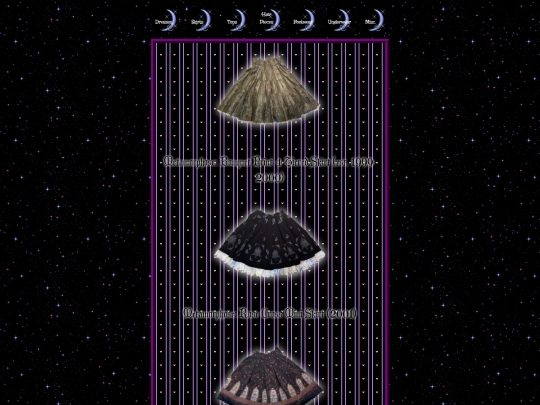 closet_skirts screenshot