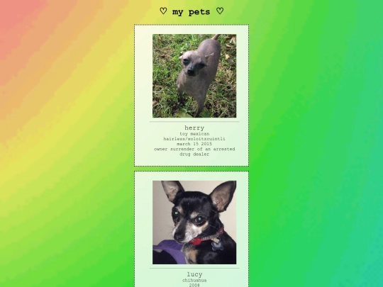 pets screenshot