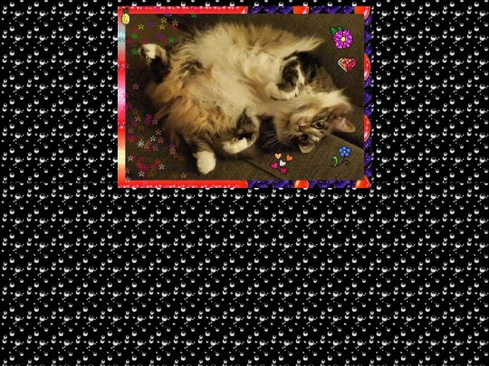 stella screenshot