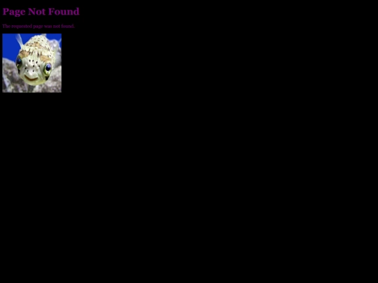 not_found screenshot
