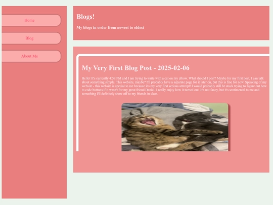 blog screenshot