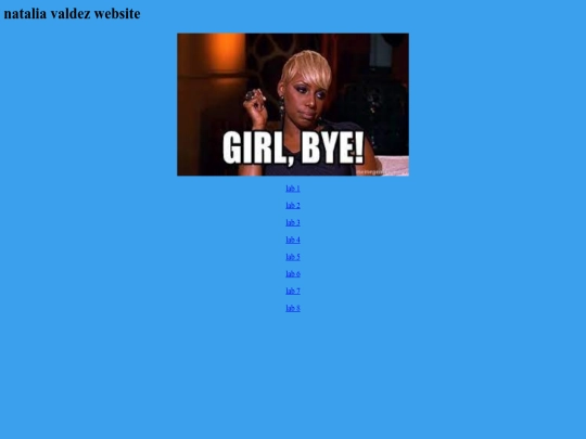 robotics24-25/natalia/lab0 screenshot