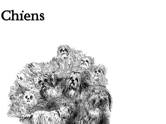 chiens/chiens screenshot