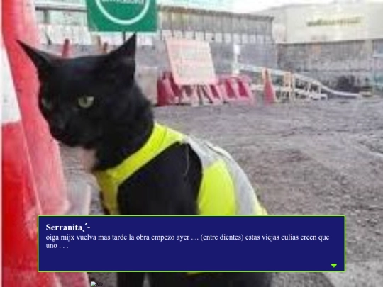 serranita-say-hello screenshot