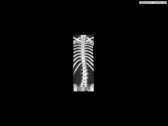 rotating-spine screenshot