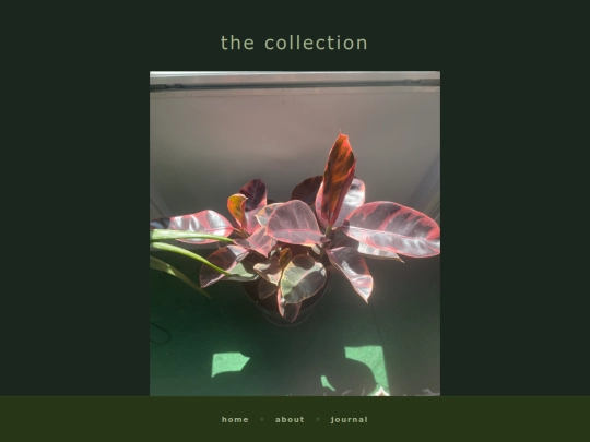 plants screenshot