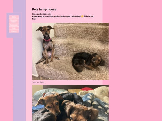 Pets screenshot