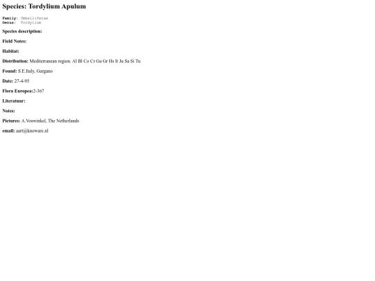 Umbelliferae/Tordylium/T.Apulum screenshot