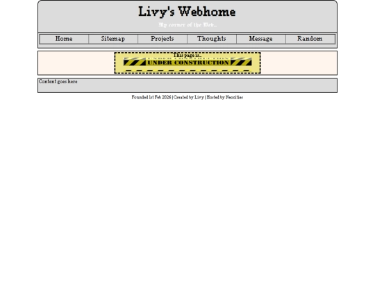 pages/projects screenshot