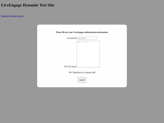 dyn-test screenshot