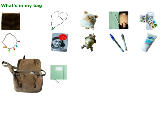 bag screenshot