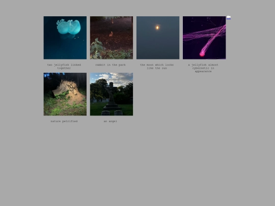 pictures screenshot
