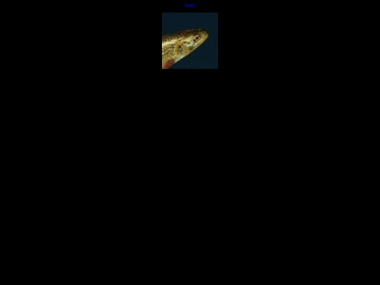 pictures screenshot