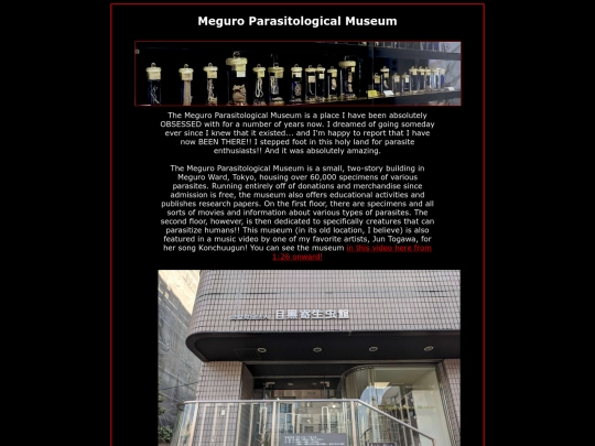 dark/pages/meguro screenshot