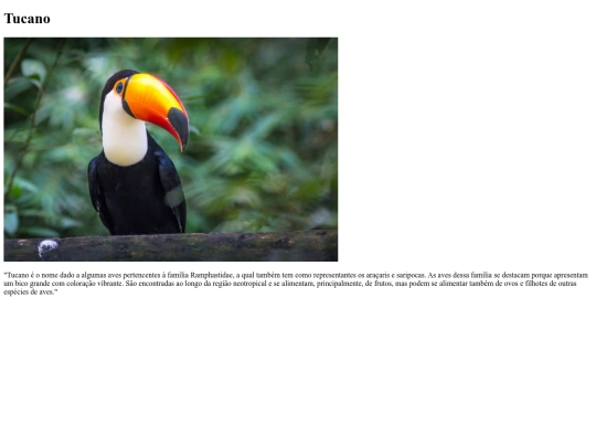 atividade1 screenshot