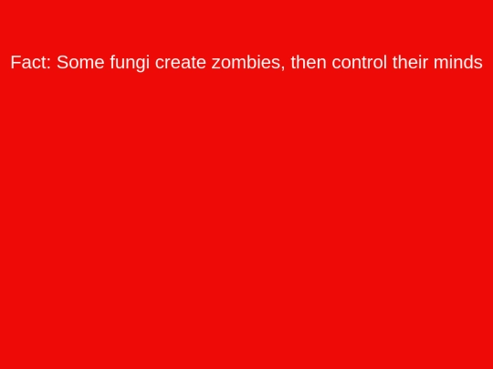 random_facts screenshot